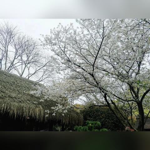 杭州各个季节时间？