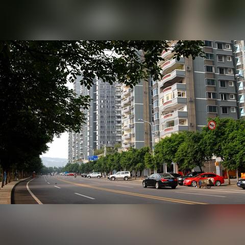 江津路属于重庆哪个区域