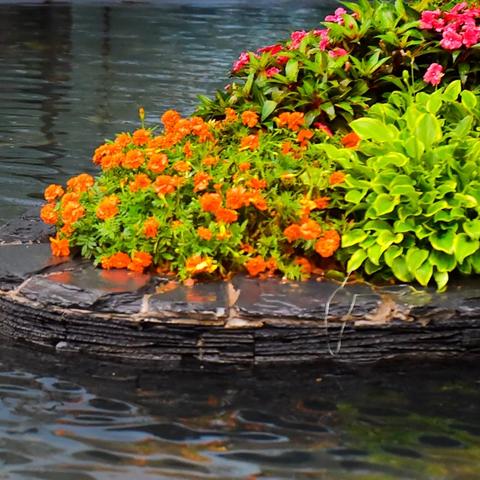 桂林彰泰城检测中心是正规的检测机构吗？