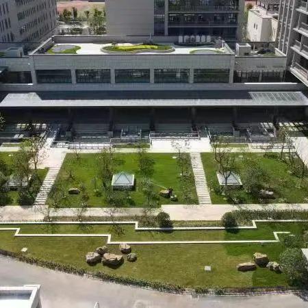 合肥市的护理院校有哪些