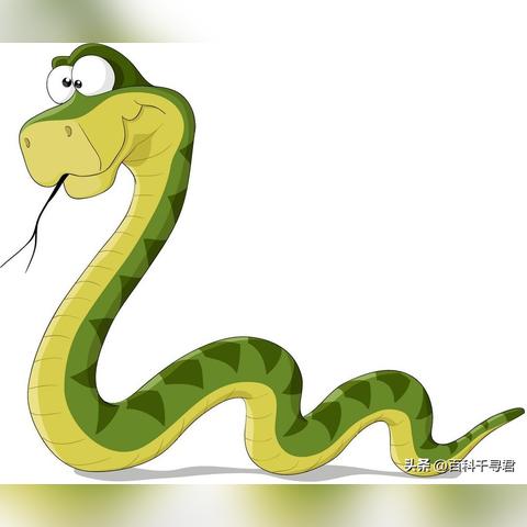 生肖蛇40岁运势及运程(生肖蛇40岁运势及运程详解)