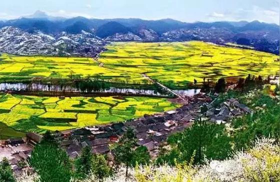 杂交水稻中文核心期刊要目总览2021全球十大工程项目