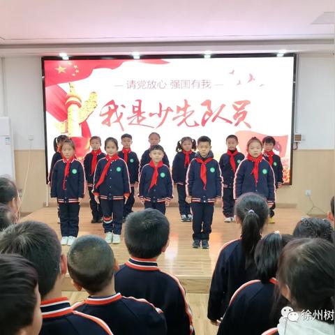 徐州能种什么树