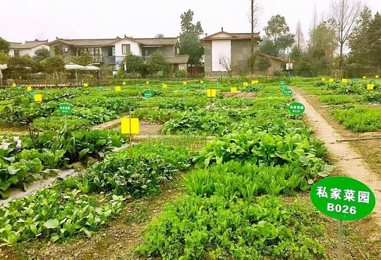 在农村，两个冷门低成本的赚钱小生意