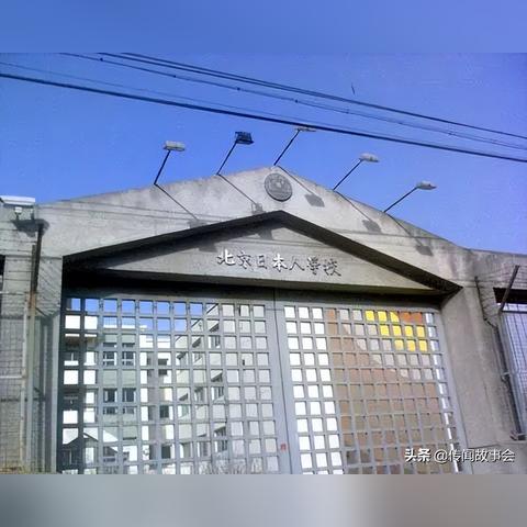 上海大学国际学校有哪些