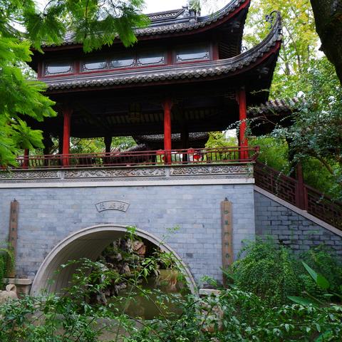 成都市区在哪里