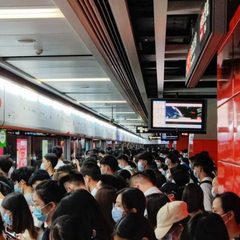 2025.12.13成都今日最新油价查询