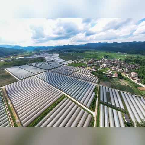福建哪个地区