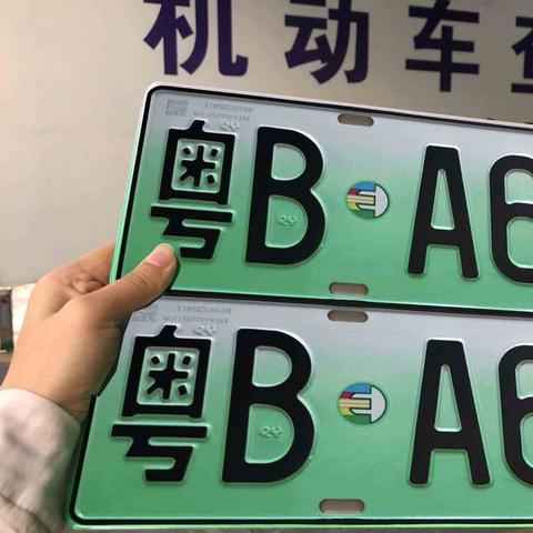 【深圳今日生猪价格】2025年6月19日深圳生猪价格是多少