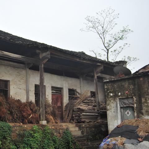 桂林金装冰糖燕窝价钱相关长尾关键词有哪些