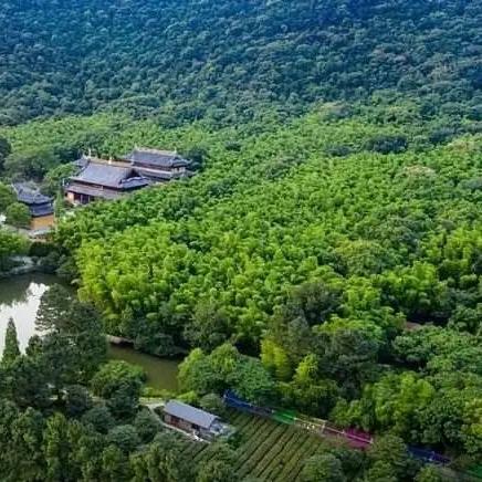 常熟市苏州度森服饰的长尾关键词有哪些