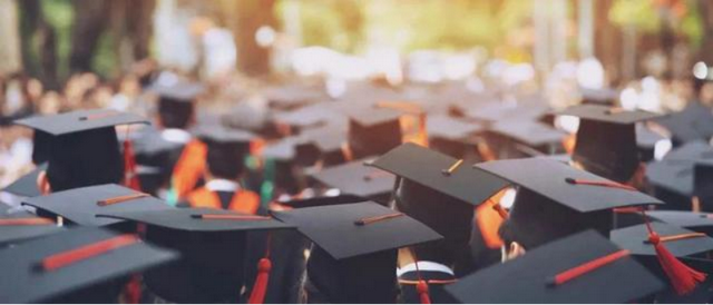 对论文导师的评价如何写