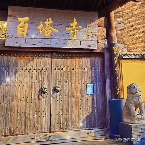 古银杏树西安相关长尾关键词有哪些