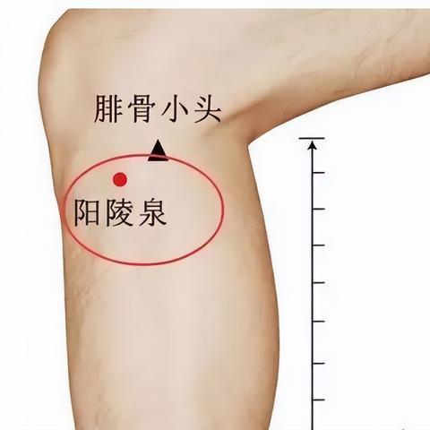 长沙胆囊炎中医推荐相关长尾关键词有哪些
