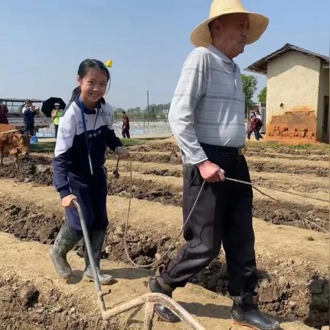 长沙市中学哪个区最好