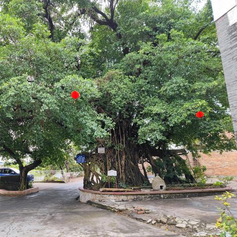 桂林北在哪相关长尾关键词有哪些