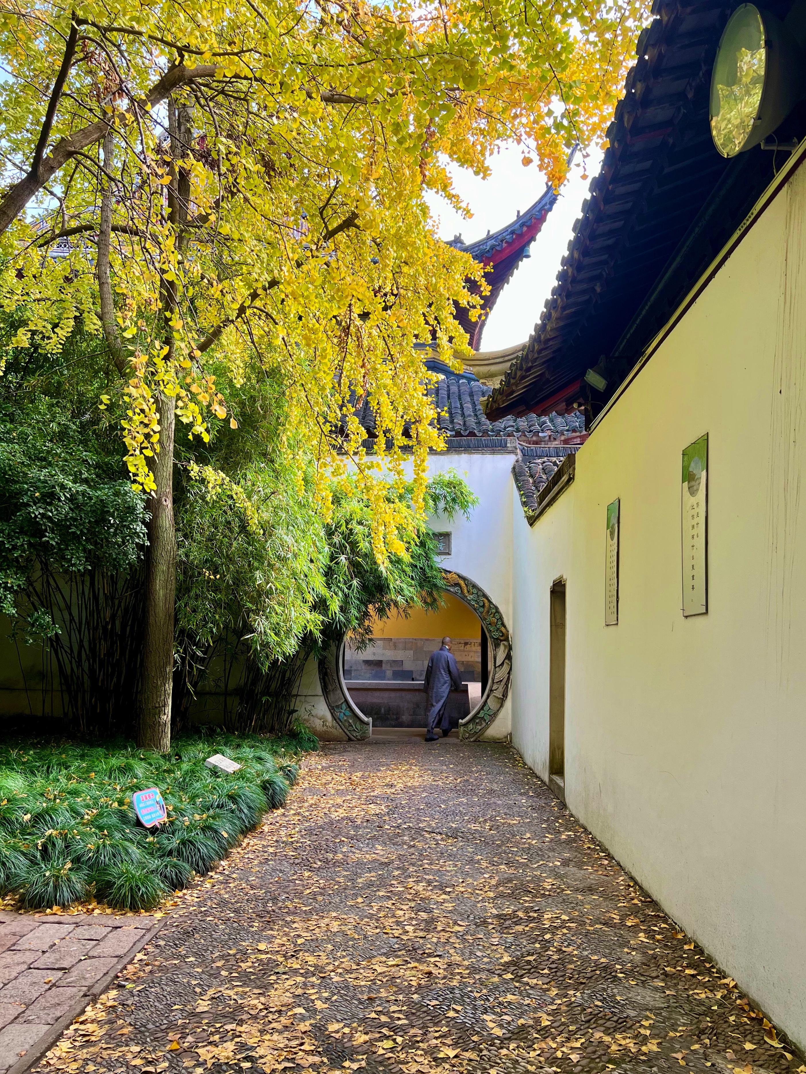 苏州风景区旅游景点排行：不容错过的绝美之地