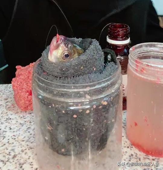 百万粉丝的钓鱼大师，天天直播割韭菜，神经诱鱼小药纯属江湖骗术