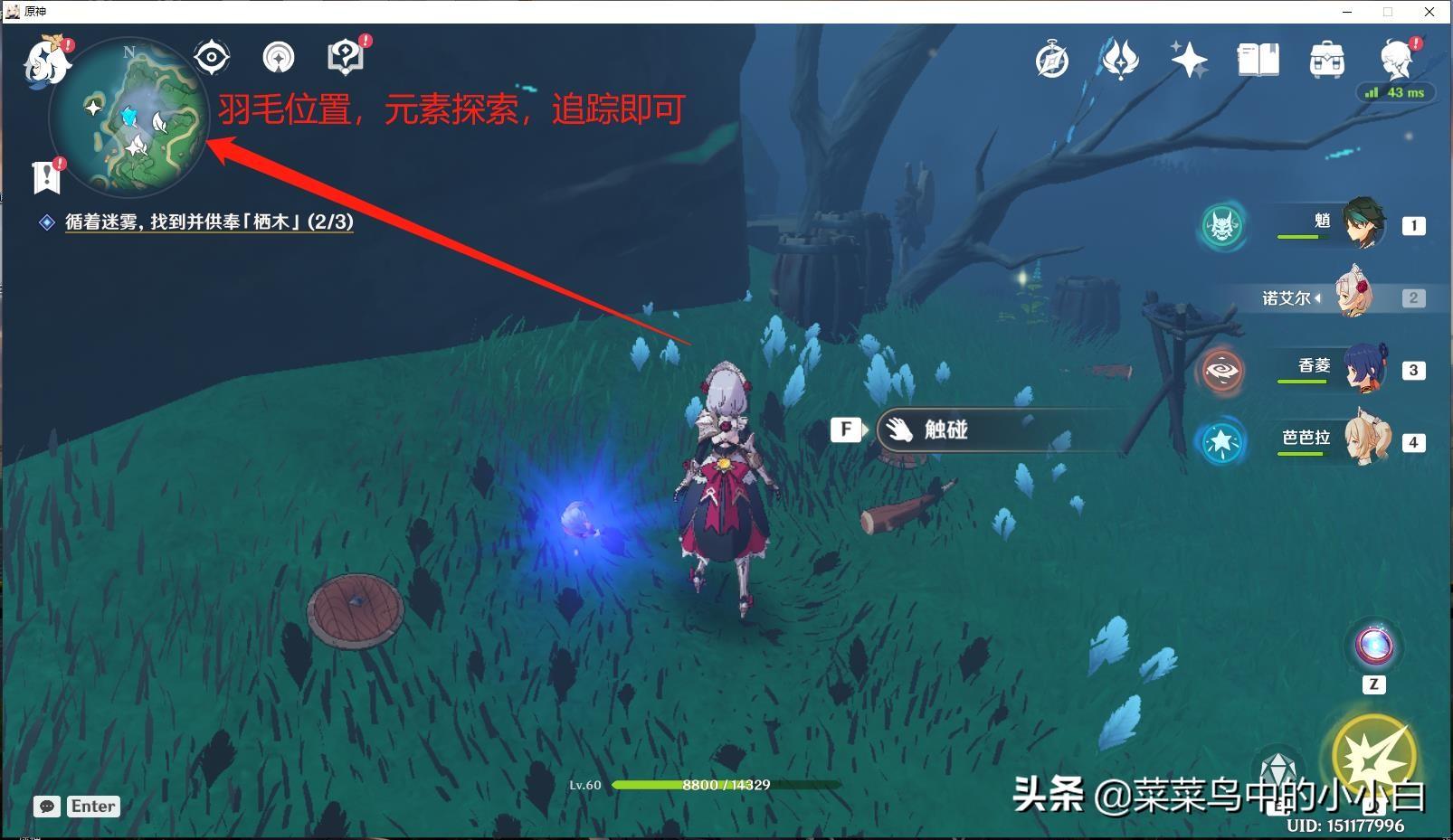 原神栖木水下怎么过(原神三处朽木位置)