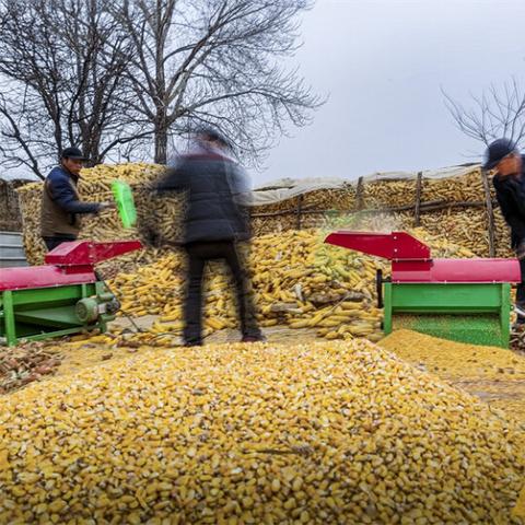 老外自制玉米脱粒工具百度长尾关键词有哪些
