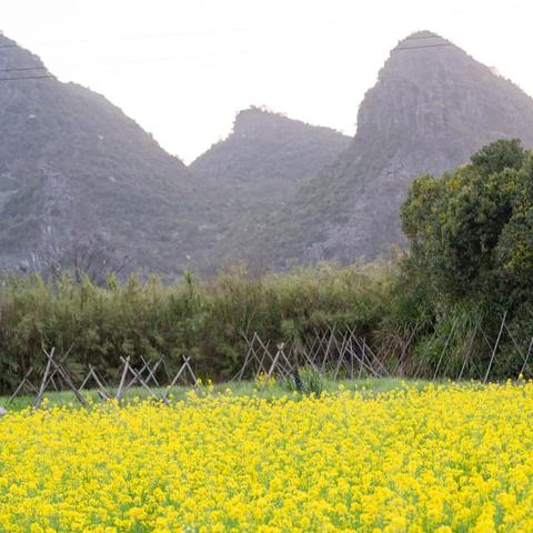 桂林资源人才网官网相关长尾关键词有哪些