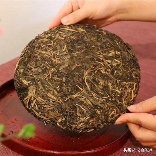 2022年，为什么你需要存汉合茶®古树普洱？丨你们要的理由在这里