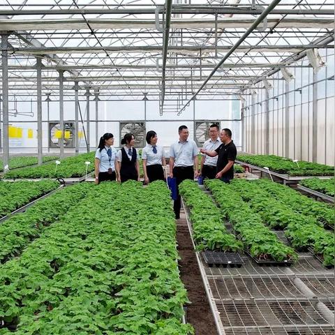 厦门最新利率的相关长尾关键词有哪些