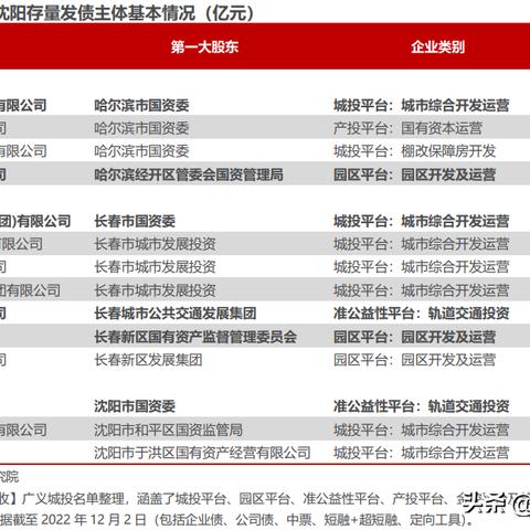 沈阳城投集团现状？