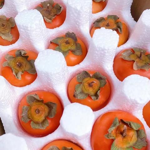 水果怎么网络营销好做