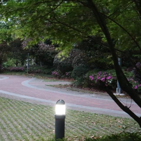 苏州市街道有什么好玩的