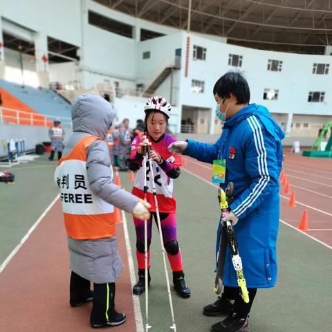 合肥地区，芙蓉鸟现在市场价格？