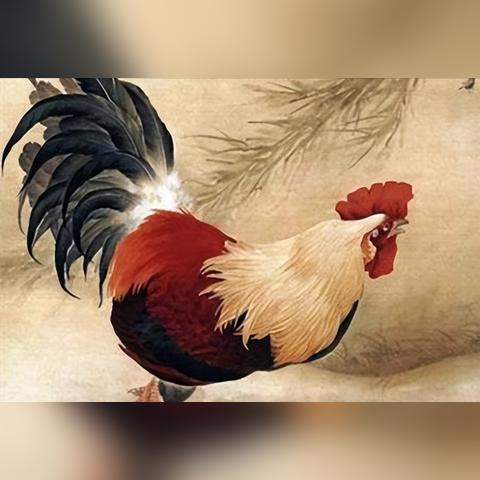 15日生肖狗运势怎么样(属狗十五日出生)