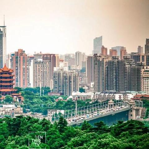 武汉市有些什么县