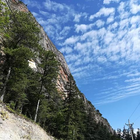 2025.11.13成都今日气温变化情况