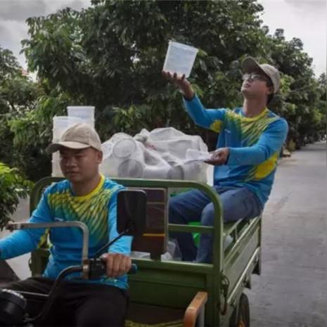 广州市狗狗绝育要多少钱