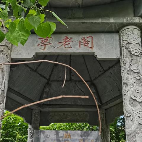 济南市平均海拔多少