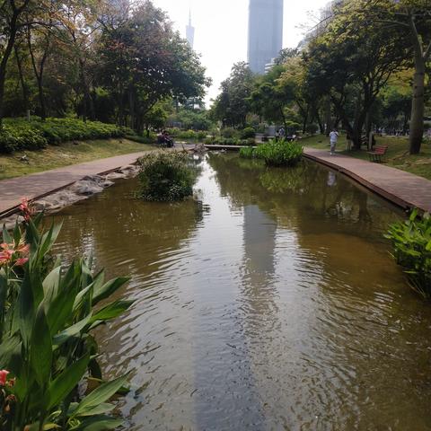 广州市春天适合种什么花