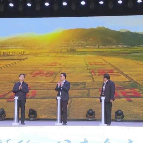 石家庄市艺术馆的长尾关键词有什么