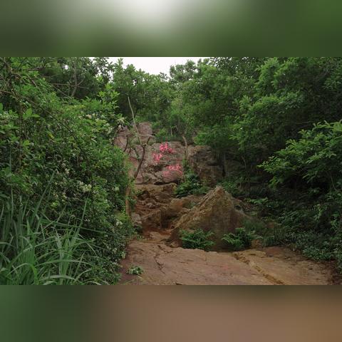 苏州市什么山好玩