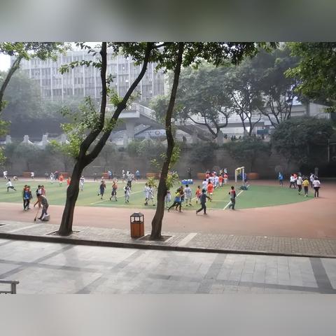 重庆沙坪坝南岸区哪个好