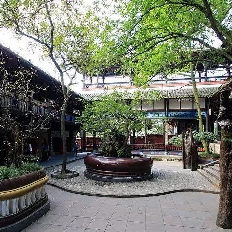 都江堰喝茶晒太阳的好地方？