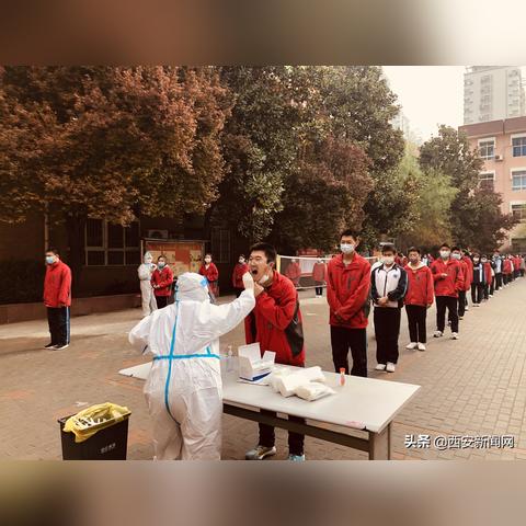 西安市核酸怎么查询不到