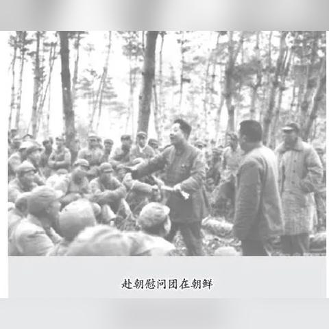 海堤印象厦门肉桂的相关长尾关键词有哪些