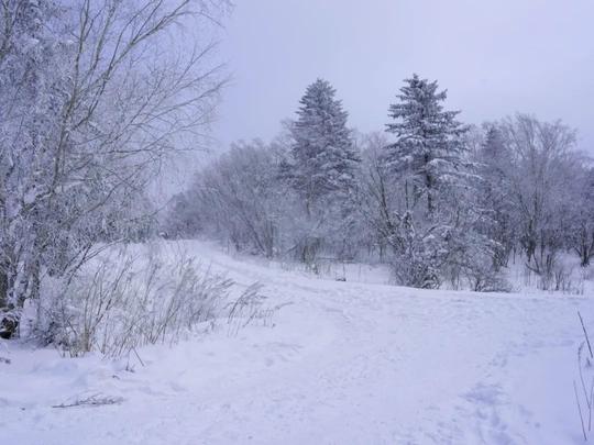 长白山滑雪全体验：-30℃喂麋鹿、泡桑拿、骑雪地摩托