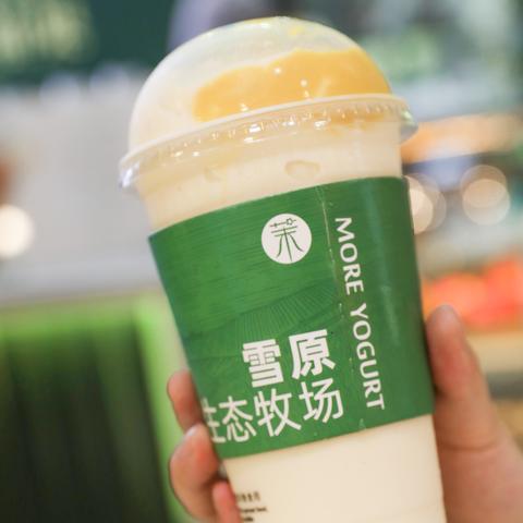 长沙茉酸奶牛油果相关长尾关键词有哪些