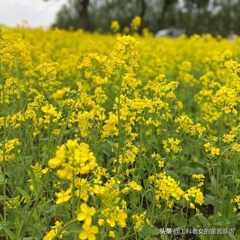 沈阳周边的海相关长尾关键词有哪些