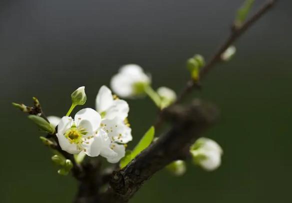 南方人口文献标识码政策文件的参考文献标准格式