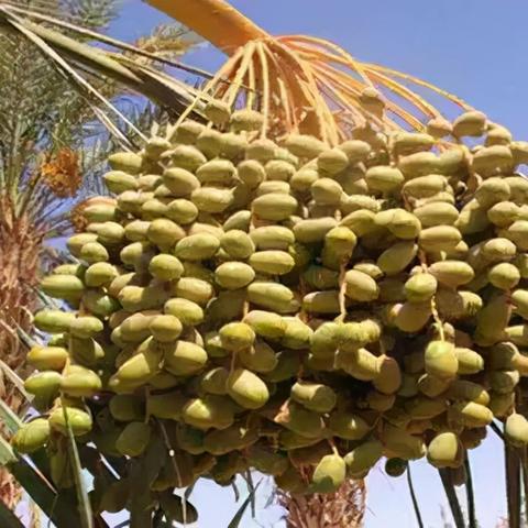 河南捐献粮食的相关长尾关键词有哪些