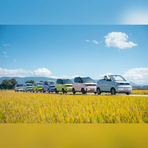 福建新能源收入怎么样