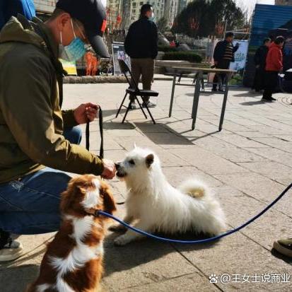 济南养犬新标准？
